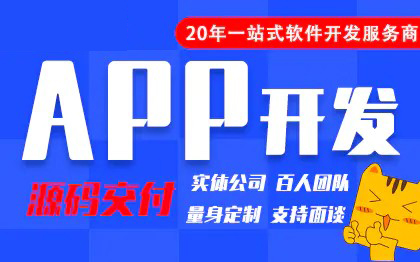 APP开发